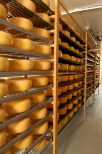 Cheese Wholesale Scotland