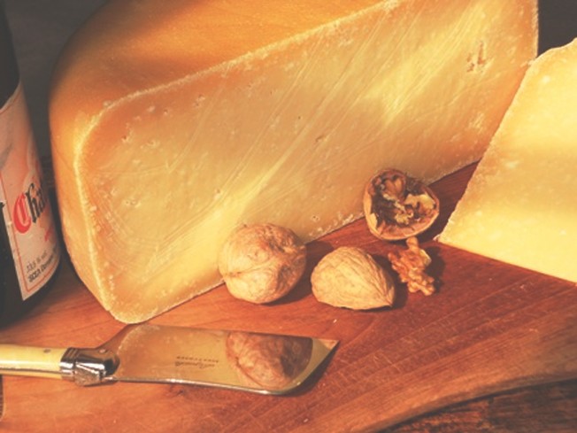 Wholesale Cheese Makers