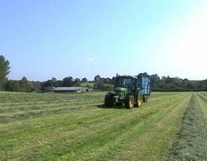 159silage
