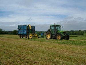 206silage